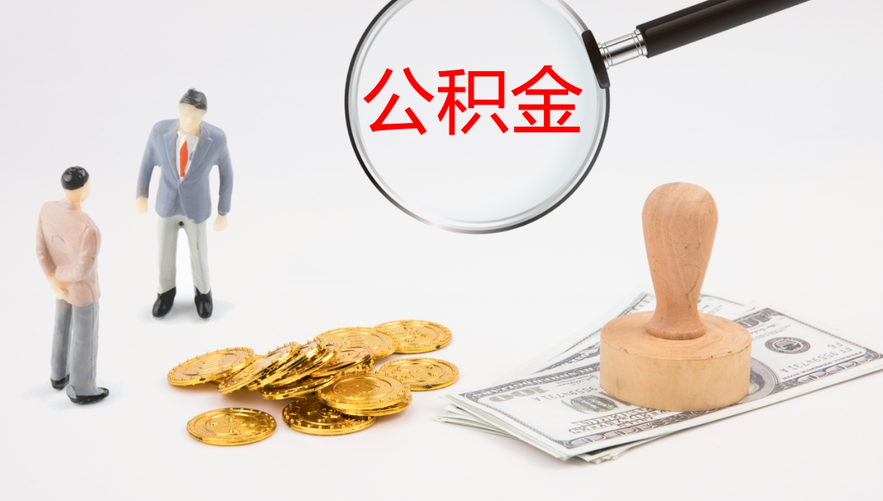 白沙我的个人公积金查询（个人公积金信息查询）